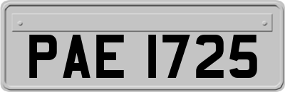 PAE1725