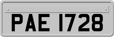 PAE1728