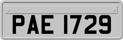 PAE1729