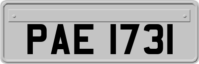 PAE1731