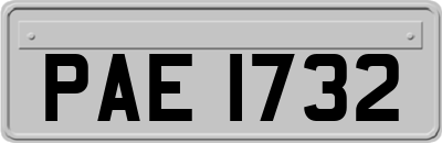 PAE1732