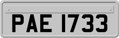 PAE1733