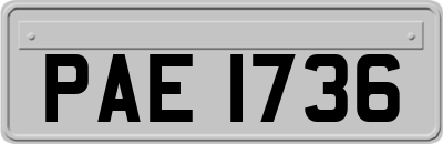 PAE1736