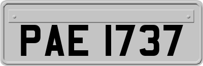 PAE1737