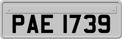 PAE1739