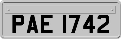 PAE1742