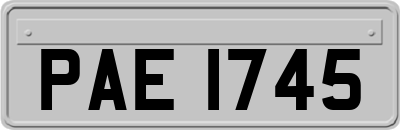 PAE1745