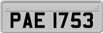 PAE1753