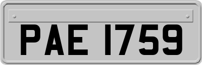 PAE1759