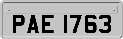 PAE1763