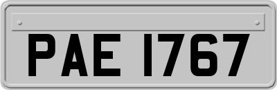 PAE1767