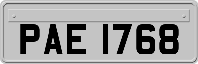 PAE1768