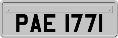 PAE1771