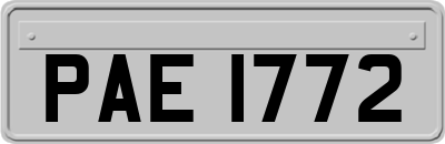 PAE1772