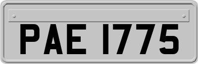 PAE1775
