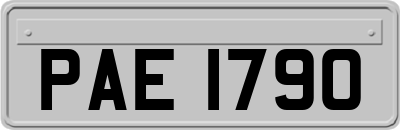 PAE1790