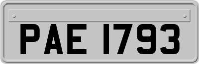 PAE1793