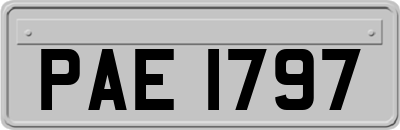 PAE1797
