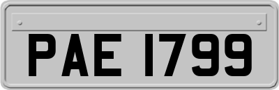PAE1799