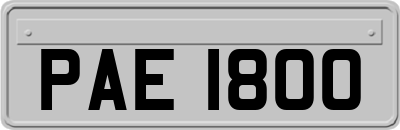 PAE1800