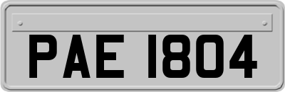 PAE1804