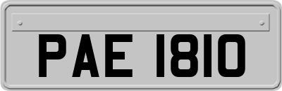 PAE1810