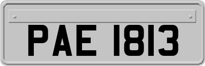 PAE1813