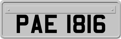 PAE1816