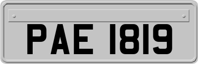 PAE1819