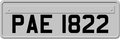 PAE1822