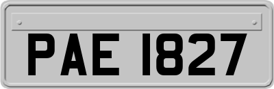 PAE1827