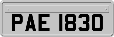 PAE1830
