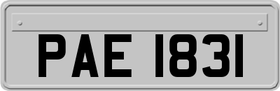 PAE1831