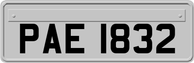 PAE1832