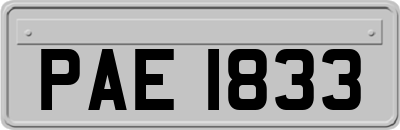 PAE1833