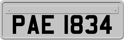 PAE1834