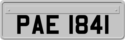 PAE1841