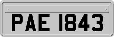 PAE1843