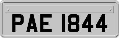 PAE1844