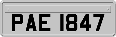 PAE1847