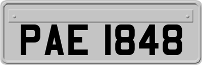 PAE1848
