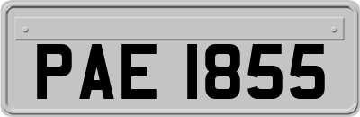 PAE1855