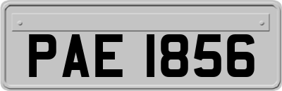 PAE1856