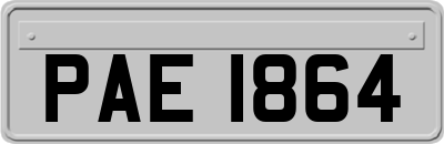 PAE1864