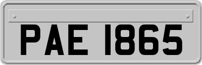 PAE1865