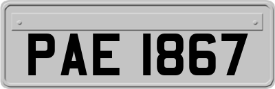 PAE1867