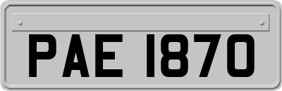 PAE1870