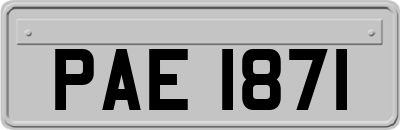 PAE1871