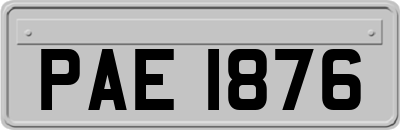 PAE1876