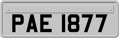 PAE1877